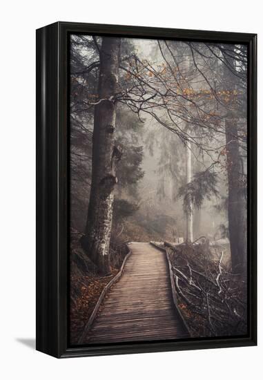 A Ride in the Woods-Philippe Sainte-Laudy-Framed Premier Image Canvas