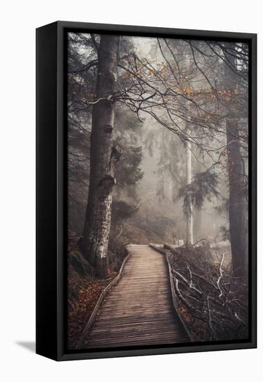 A Ride in the Woods-Philippe Sainte-Laudy-Framed Premier Image Canvas