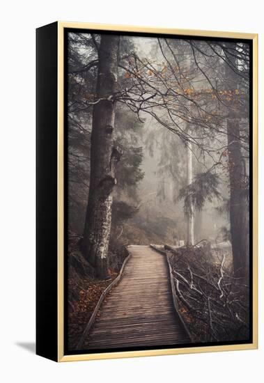 A Ride in the Woods-Philippe Sainte-Laudy-Framed Premier Image Canvas