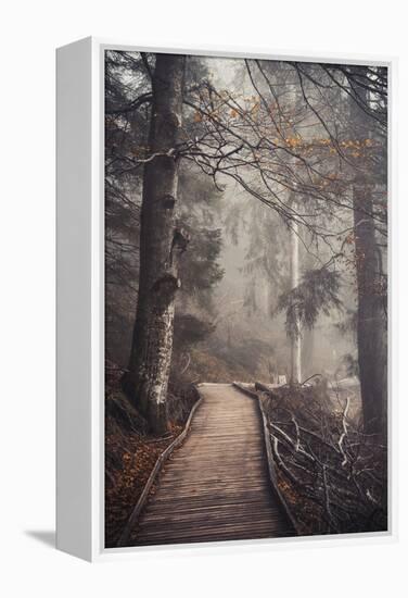 A Ride in the Woods-Philippe Sainte-Laudy-Framed Premier Image Canvas