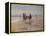 A Ride on the Beach, Dublin-Heywood Hardy-Framed Premier Image Canvas