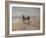 A Ride on the Beach, Dublin-Heywood Hardy-Framed Giclee Print