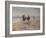 A Ride on the Beach, Dublin-Heywood Hardy-Framed Giclee Print