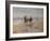 A Ride on the Beach, Dublin-Heywood Hardy-Framed Giclee Print