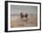 A Ride on the Beach, Dublin-Heywood Hardy-Framed Giclee Print