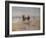 A Ride on the Beach, Dublin-Heywood Hardy-Framed Giclee Print