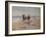 A Ride on the Beach, Dublin-Heywood Hardy-Framed Giclee Print