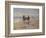 A Ride on the Beach, Dublin-Heywood Hardy-Framed Giclee Print