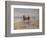 A Ride on the Beach, Dublin-Heywood Hardy-Framed Giclee Print