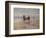 A Ride on the Beach, Dublin-Heywood Hardy-Framed Giclee Print