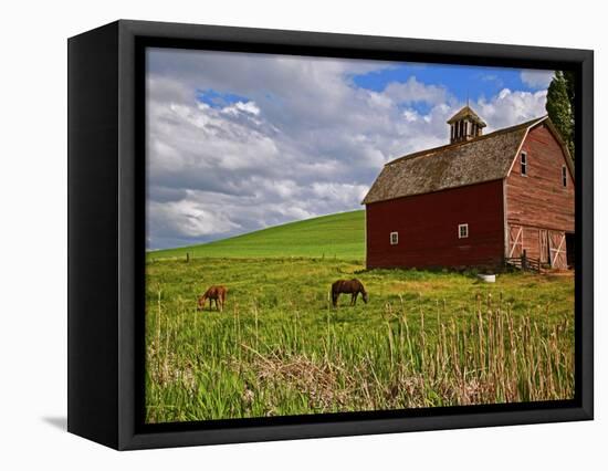 A Ride Through the Farm Country of Palouse, Washington State, USA-Joe Restuccia III-Framed Premier Image Canvas