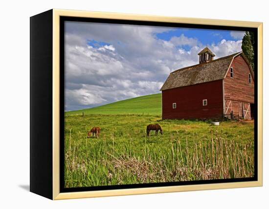 A Ride Through the Farm Country of Palouse, Washington State, USA-Joe Restuccia III-Framed Premier Image Canvas