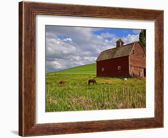 A Ride Through the Farm Country of Palouse, Washington State, USA-Joe Restuccia III-Framed Photographic Print