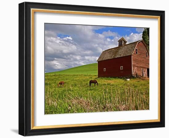 A Ride Through the Farm Country of Palouse, Washington State, USA-Joe Restuccia III-Framed Photographic Print