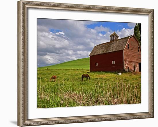 A Ride Through the Farm Country of Palouse, Washington State, USA-Joe Restuccia III-Framed Photographic Print