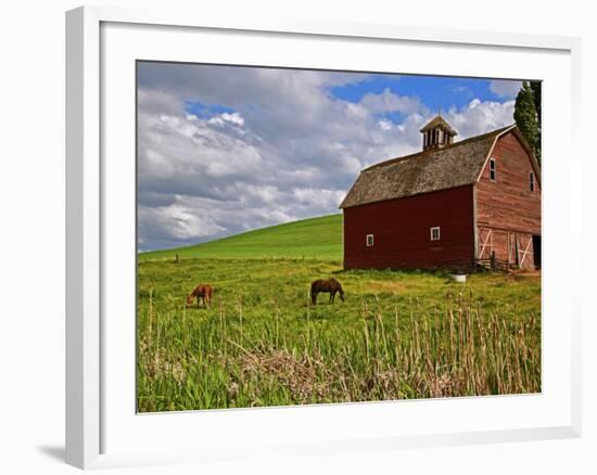 A Ride Through the Farm Country of Palouse, Washington State, USA-Joe Restuccia III-Framed Photographic Print