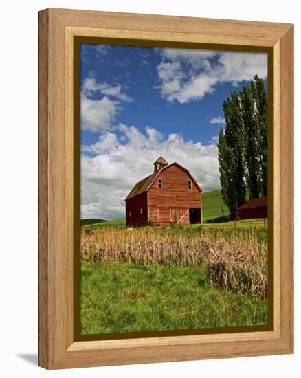 A Ride Through the Farm Country of Palouse, Washington State, USA-Joe Restuccia III-Framed Premier Image Canvas