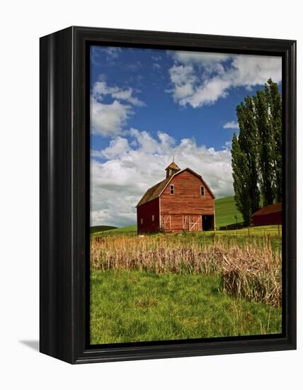 A Ride Through the Farm Country of Palouse, Washington State, USA-Joe Restuccia III-Framed Premier Image Canvas