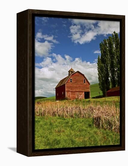 A Ride Through the Farm Country of Palouse, Washington State, USA-Joe Restuccia III-Framed Premier Image Canvas