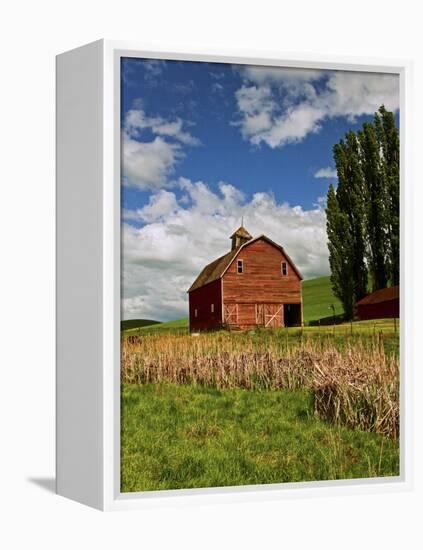 A Ride Through the Farm Country of Palouse, Washington State, USA-Joe Restuccia III-Framed Premier Image Canvas