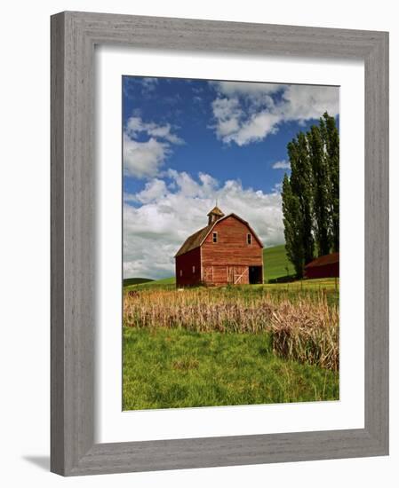 A Ride Through the Farm Country of Palouse, Washington State, USA-Joe Restuccia III-Framed Photographic Print