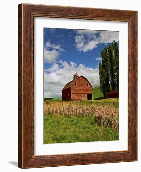 A Ride Through the Farm Country of Palouse, Washington State, USA-Joe Restuccia III-Framed Photographic Print