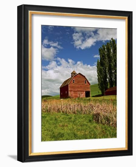 A Ride Through the Farm Country of Palouse, Washington State, USA-Joe Restuccia III-Framed Photographic Print