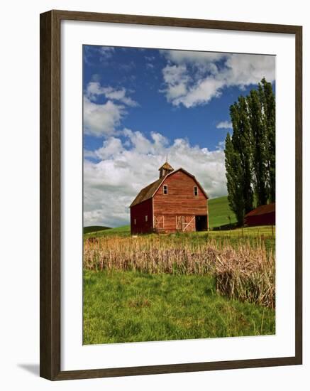 A Ride Through the Farm Country of Palouse, Washington State, USA-Joe Restuccia III-Framed Photographic Print