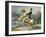 A Rider and His Rearing Horse-Théodore Géricault-Framed Giclee Print