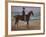 A Rider on the Shore-Max Liebermann-Framed Giclee Print