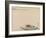 A River Boat-Shibata Zeshin-Framed Giclee Print