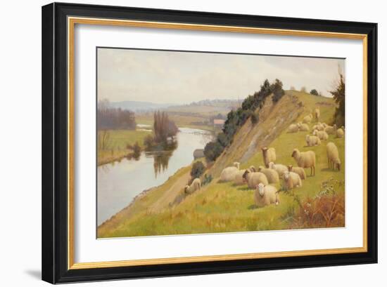 A Riverside Pasture with Sheep-William Sidney Cooper-Framed Giclee Print