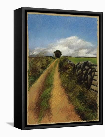 A Road in Galway-Helen J. Vaughn-Framed Premier Image Canvas