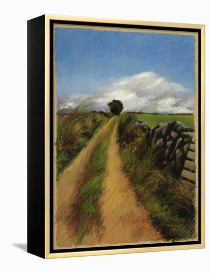 A Road in Galway-Helen J. Vaughn-Framed Premier Image Canvas