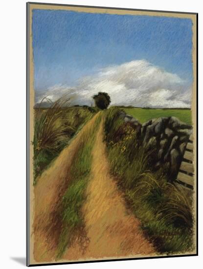 A Road in Galway-Helen J. Vaughn-Mounted Giclee Print