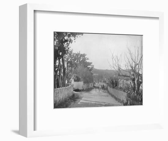 'A Road in Port Royal, Bermuda', 19th century-Unknown-Framed Photographic Print