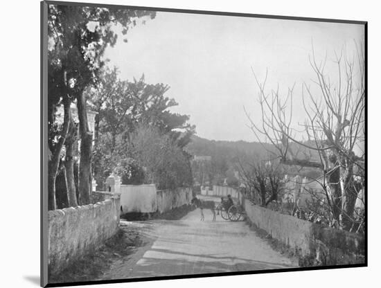 'A Road in Port Royal, Bermuda', 19th century-Unknown-Mounted Photographic Print