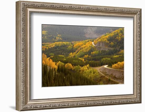 A Road Meanders Through the Brilliant Fall Colors of the San Juan Mountains of Colorado-John Alves-Framed Photographic Print