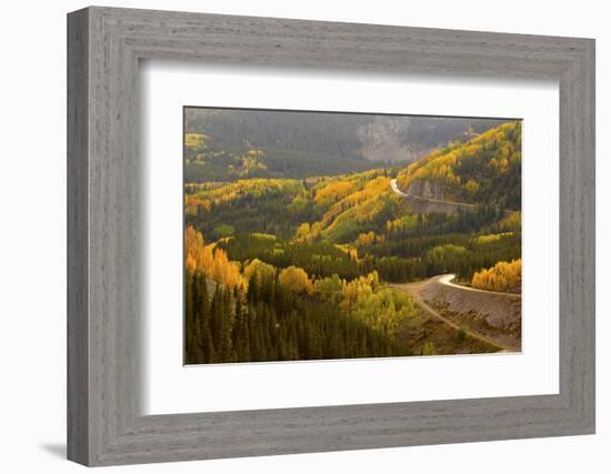 A Road Meanders Through the Brilliant Fall Colors of the San Juan Mountains of Colorado-John Alves-Framed Photographic Print