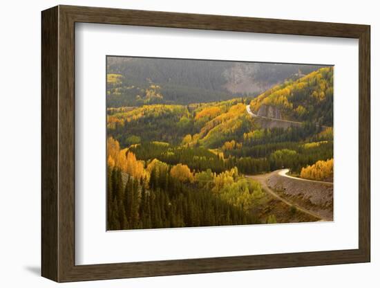 A Road Meanders Through the Brilliant Fall Colors of the San Juan Mountains of Colorado-John Alves-Framed Photographic Print