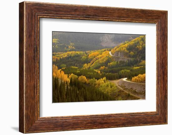 A Road Meanders Through the Brilliant Fall Colors of the San Juan Mountains of Colorado-John Alves-Framed Photographic Print