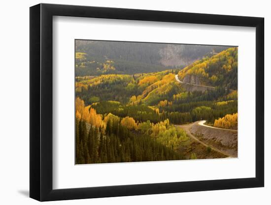 A Road Meanders Through the Brilliant Fall Colors of the San Juan Mountains of Colorado-John Alves-Framed Photographic Print