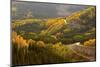 A Road Meanders Through the Brilliant Fall Colors of the San Juan Mountains of Colorado-John Alves-Mounted Photographic Print