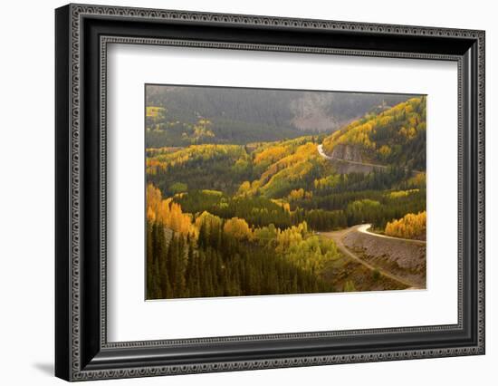 A Road Meanders Through the Brilliant Fall Colors of the San Juan Mountains of Colorado-John Alves-Framed Photographic Print