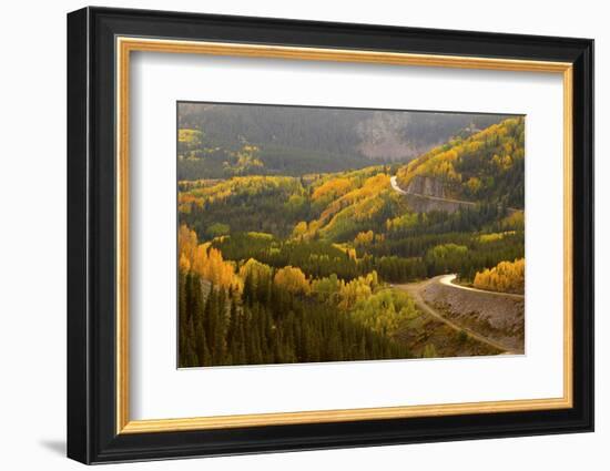 A Road Meanders Through the Brilliant Fall Colors of the San Juan Mountains of Colorado-John Alves-Framed Photographic Print