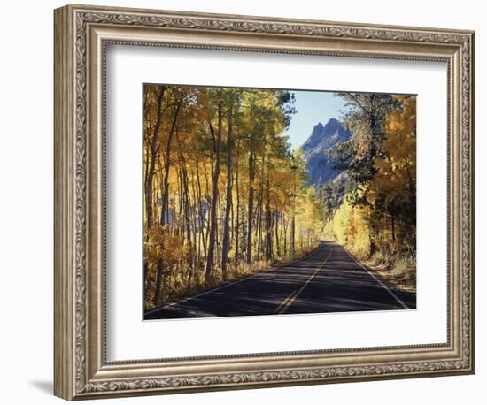 A Road Through the Autumn Colors of Aspen Trees in the June Lake Loop-Christopher Talbot Frank-Framed Photographic Print