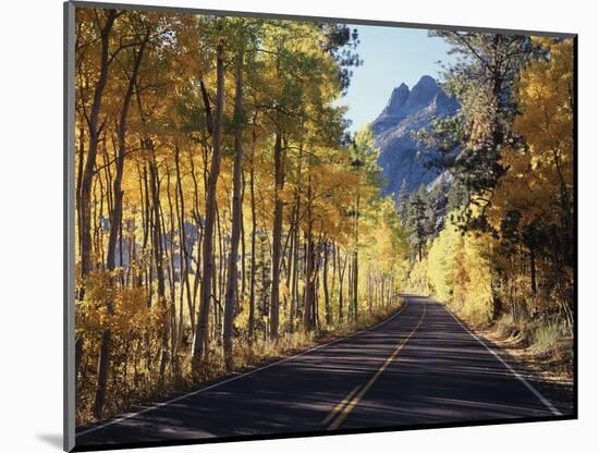 A Road Through the Autumn Colors of Aspen Trees in the June Lake Loop-Christopher Talbot Frank-Mounted Photographic Print