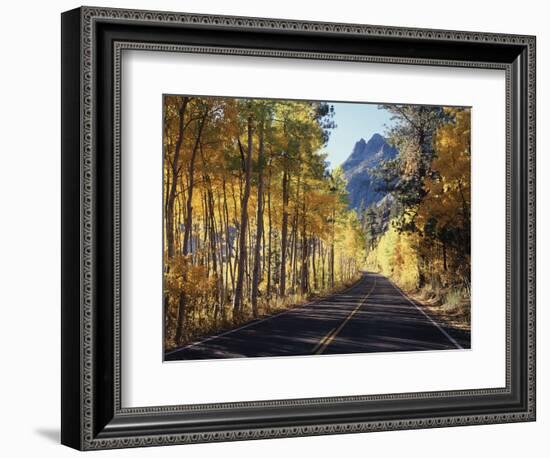 A Road Through the Autumn Colors of Aspen Trees in the June Lake Loop-Christopher Talbot Frank-Framed Photographic Print