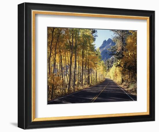 A Road Through the Autumn Colors of Aspen Trees in the June Lake Loop-Christopher Talbot Frank-Framed Photographic Print