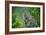 A Roadrunner In Green Spring Habitat On A South Texas Ranch-Jay Goodrich-Framed Photographic Print